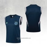 Ajax Training Shirt 2023-2024 Without Sleeves Blue